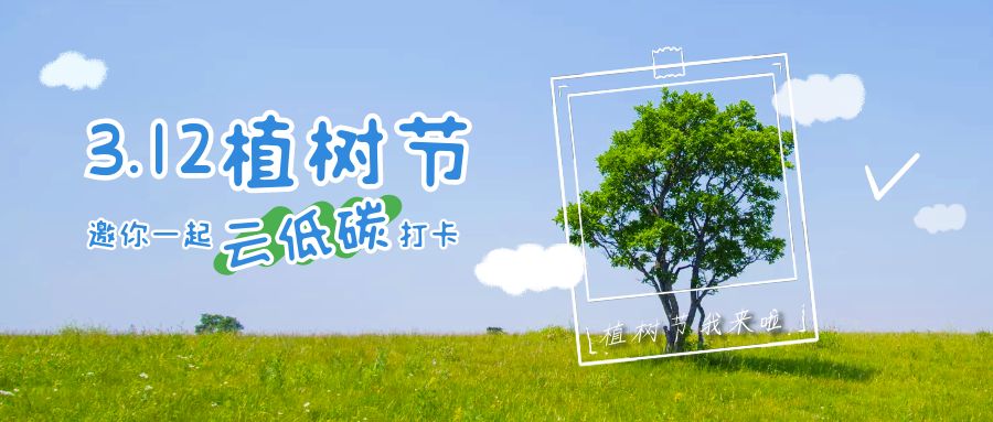 環(huán)?；顒硬邉澐桨福簞?chuàng)意點亮，綠色同行
