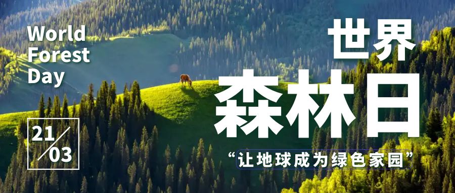 共建綠色家園，共享森林盛宴：世界森林日活動策劃方案